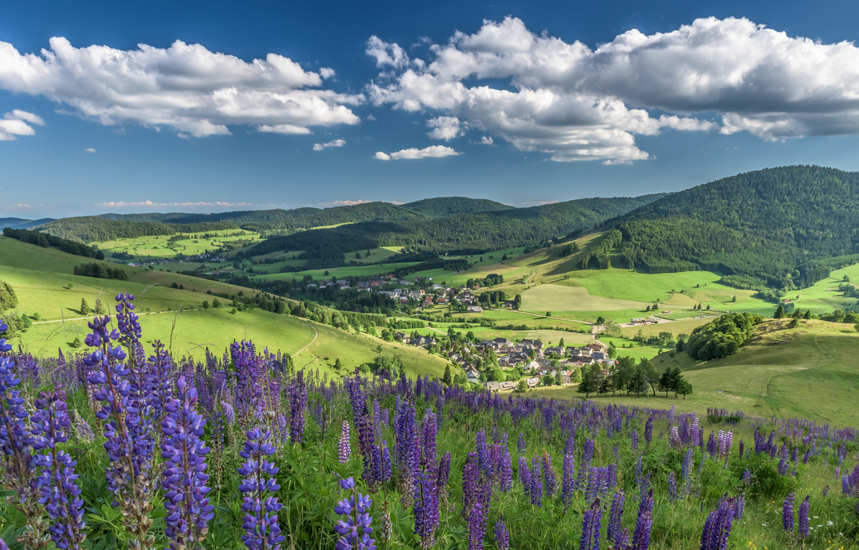 Blick auf Bernau - Bernau Gutschein Blick auf Bernau - Bernau Gutschein