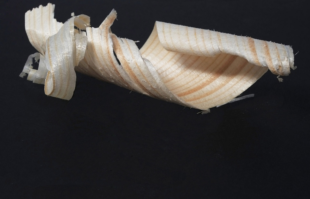 Bernau Schwarzwald Holzspan_Foto Birgit-Cathrin Duval.jpg Bernau Schwarzwald Holzspan_Foto Birgit-Cathrin Duval.jpg